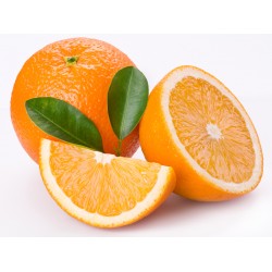 Orange Delifruit
