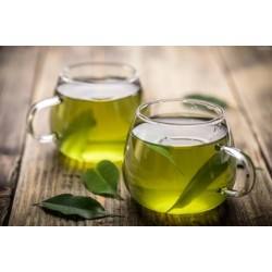 Экстракт «Зеленого чая»