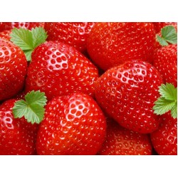 Strawberry fond
