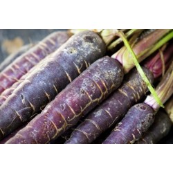 Краситель «Фиолетовая морковь» (Е 163)